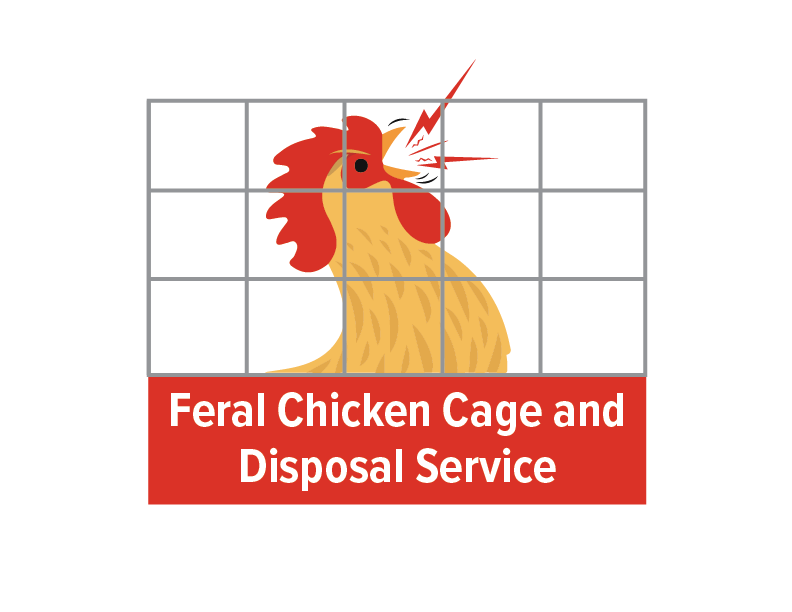 feral_chicken_cage