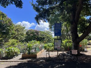 Photo of the entrance to Foster Community Garden. There's the garden sign, on the right, with an e-bike leaning against it. On the left are the garden beds bursting with plants.