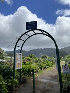 Photo of the entrance at Manoa Community Garden. There's an archway, lush plantings in the near background, and misty mountains in the far background.