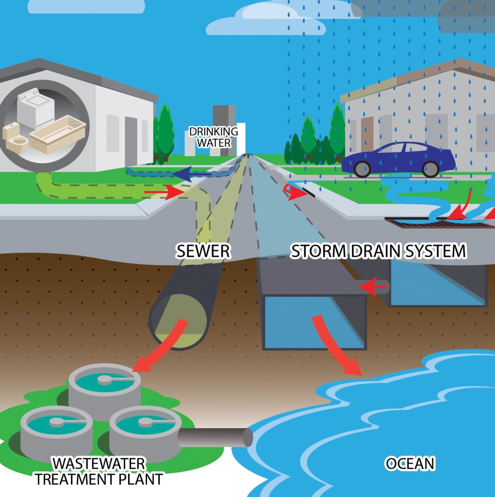 The City's storm water system is separate from its drinking water and wastewater systems. Water entering the storm water system is not treated before it is deposited into stream channels and the ocean.