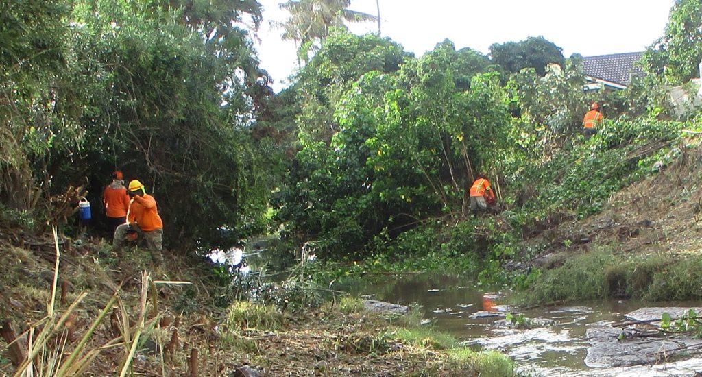 workers clearing a stream